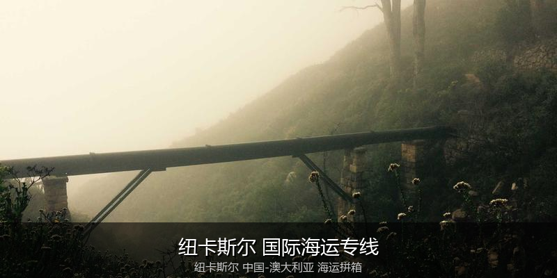 澳大利亚海运专线时效对比与选择指南