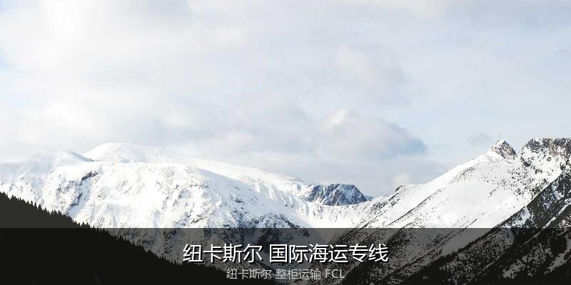 海运拼箱与整柜运输优劣对比
