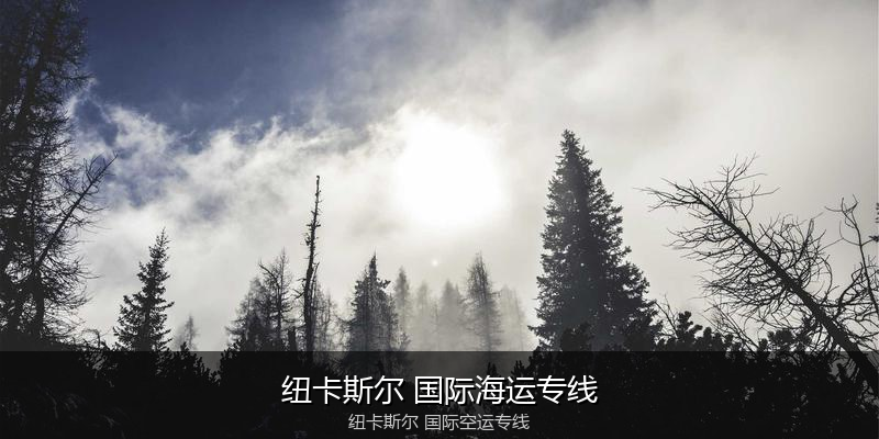 中国出口澳大利亚海运清关全攻略